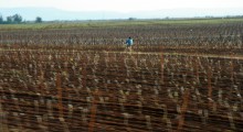 vins-meknes